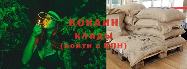 прущие крисы Арсеньев