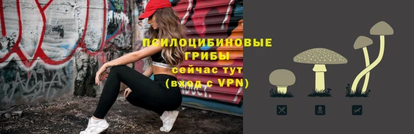 прущие крисы Арсеньев