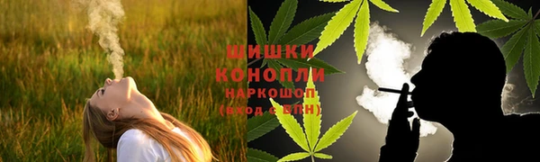 прущие крисы Арсеньев