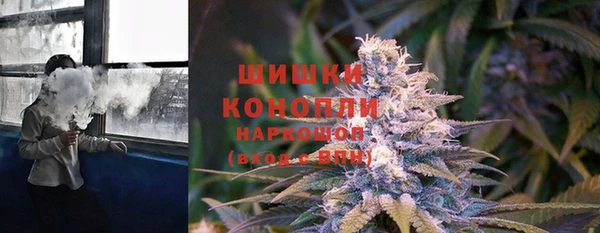 a pvp Аркадак